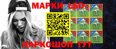 гашик Будённовск