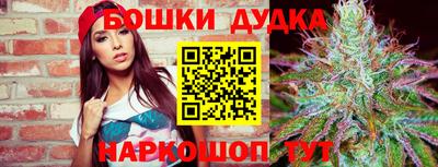 гашик Будённовск