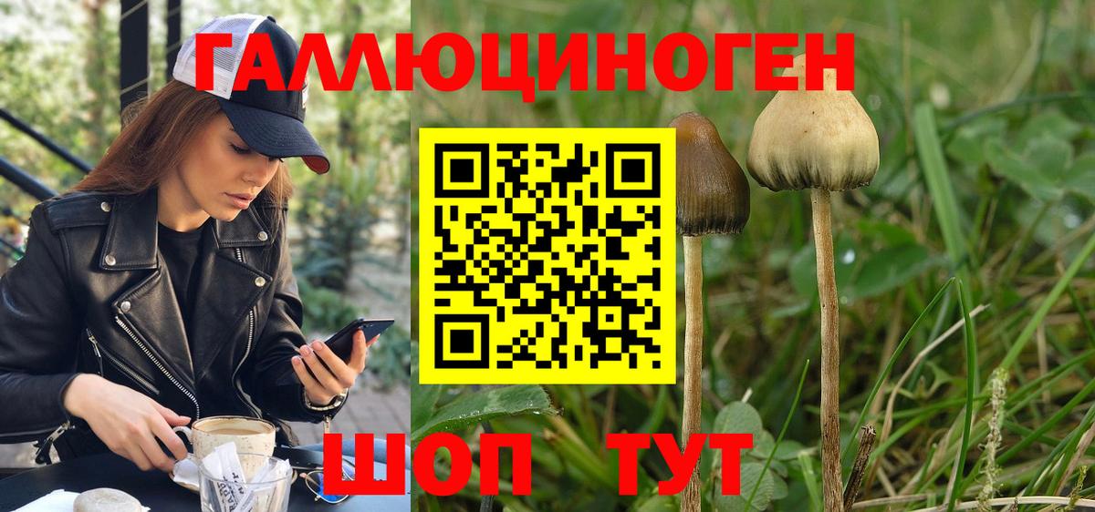 Галлюциногенные грибы мицелий Астрахань