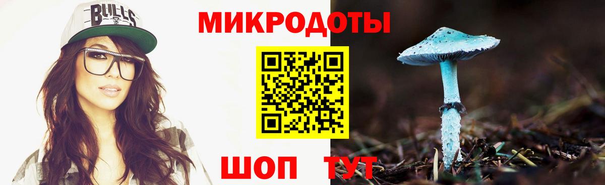 Галлюциногенные грибы мицелий  Псилоцибиновые грибы мицелий  Астрахань  Вход с VPN 